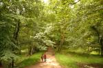 2012 07 08 chenonceaux 091